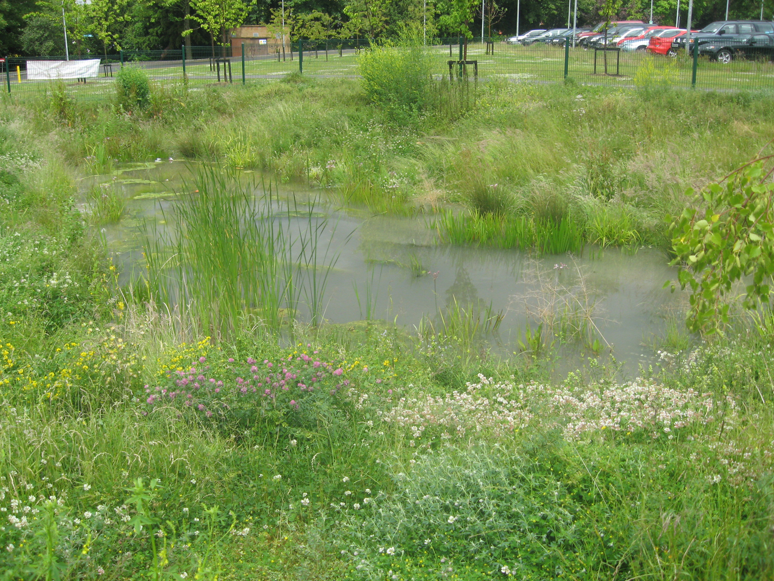 Drainage Image